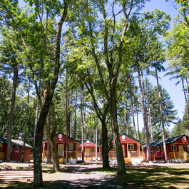 Photo 5 for Pocono Springs Camp