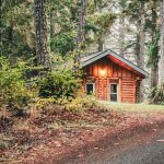 Three log cabins set among tall evergreens along a leaf-covered gravel road at a summer camp in autumn