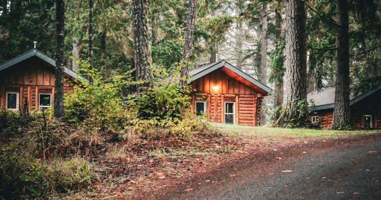 Three log cabins set among tall evergreens along a leaf-covered gravel road at a summer camp in autumn